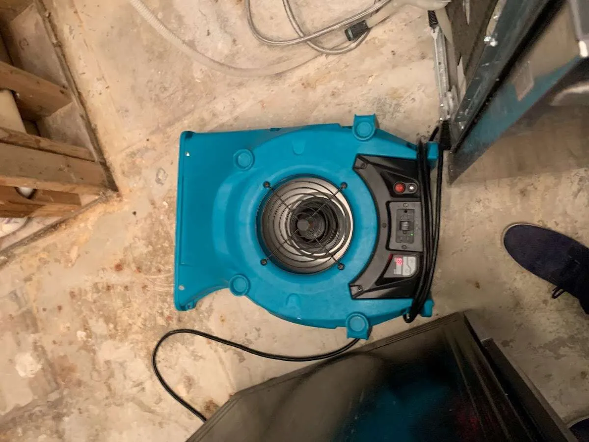 Air mover drying equipment for Mold Remediation & Removal in Waianae